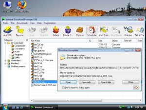 Internet Download Manager Crack 6.41 Build 3 (2022) Version Download